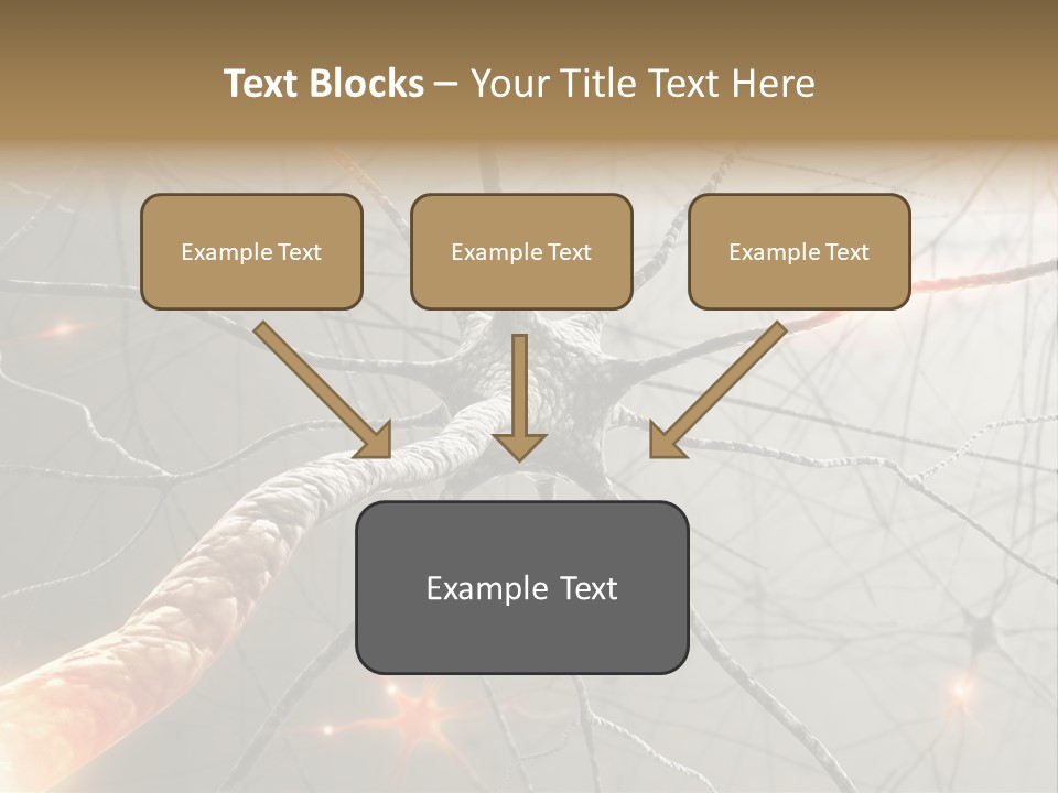 Inside The Brain. Concept Of Neurons And Nervous System. PowerPoint Template