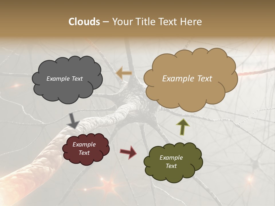 Inside The Brain. Concept Of Neurons And Nervous System. PowerPoint Template