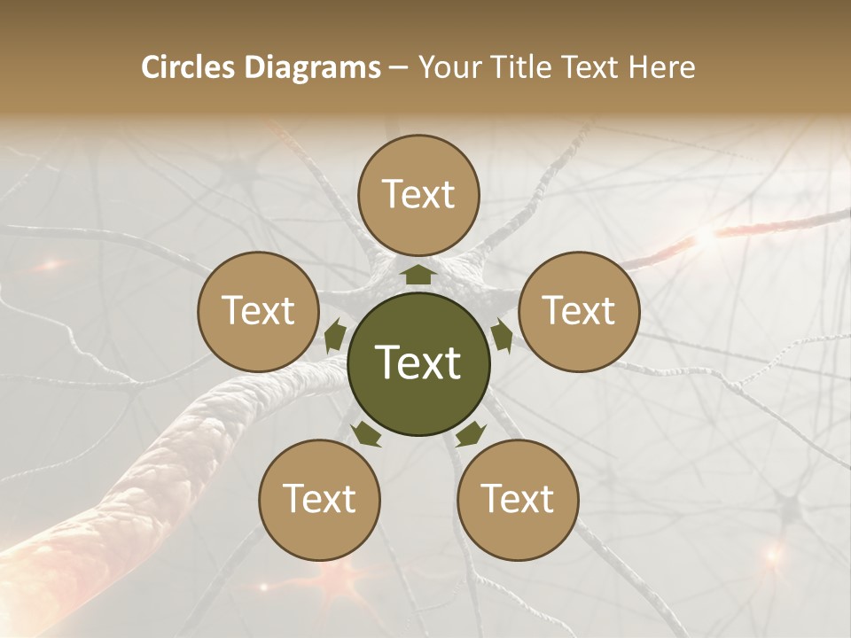 Inside The Brain. Concept Of Neurons And Nervous System. PowerPoint Template
