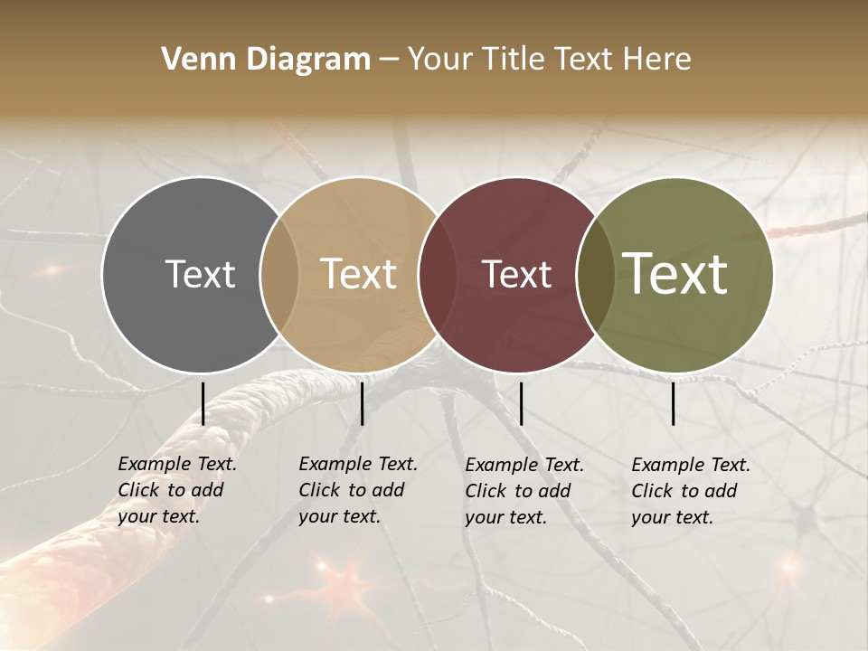 Inside The Brain. Concept Of Neurons And Nervous System. PowerPoint Template
