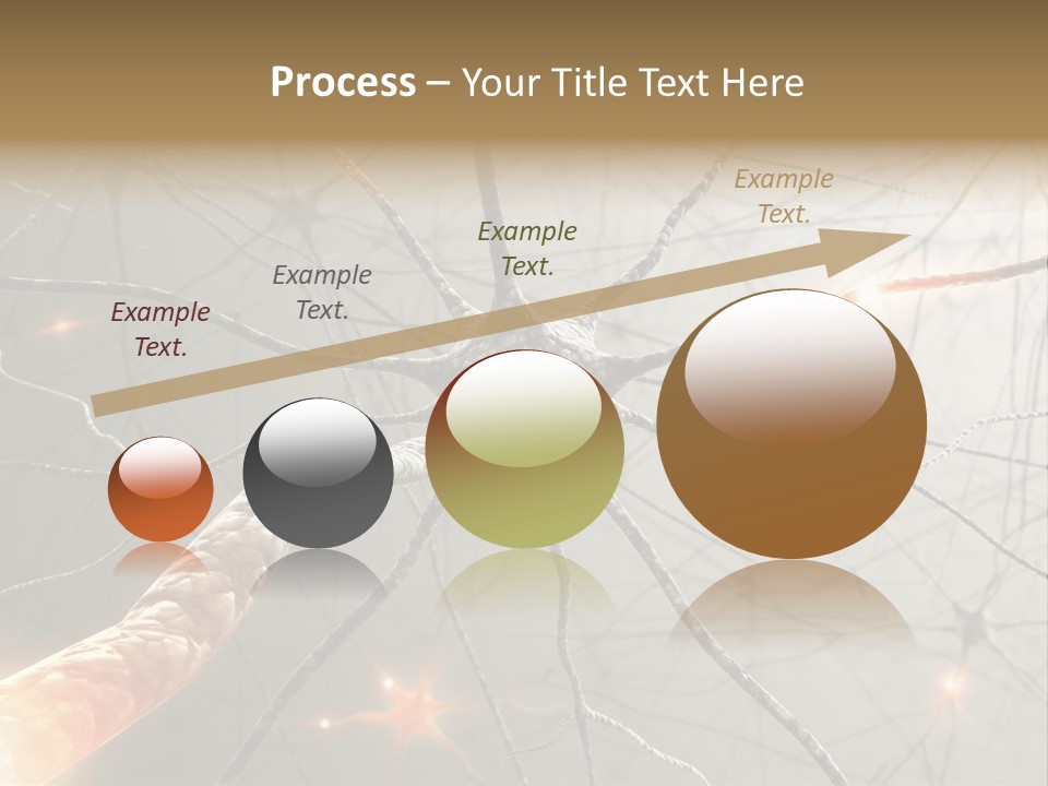 Inside The Brain. Concept Of Neurons And Nervous System. PowerPoint Template