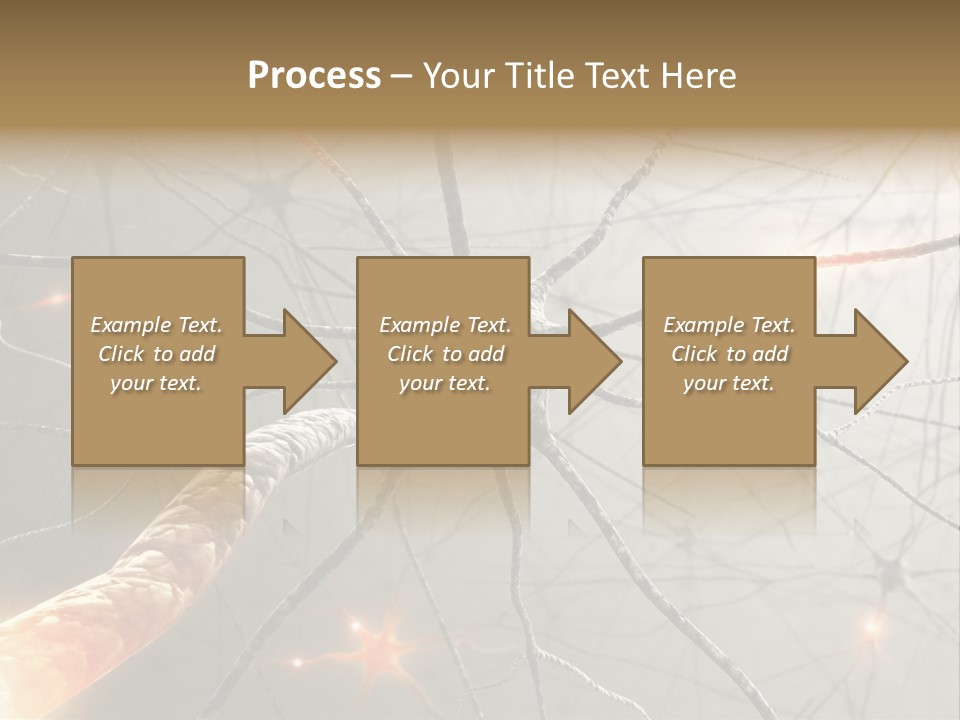 Inside The Brain. Concept Of Neurons And Nervous System. PowerPoint Template