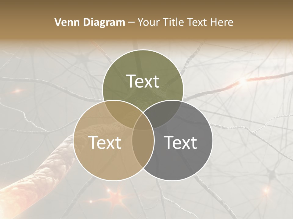 Inside The Brain. Concept Of Neurons And Nervous System. PowerPoint Template