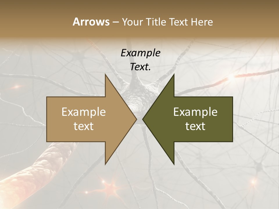 Inside The Brain. Concept Of Neurons And Nervous System. PowerPoint Template