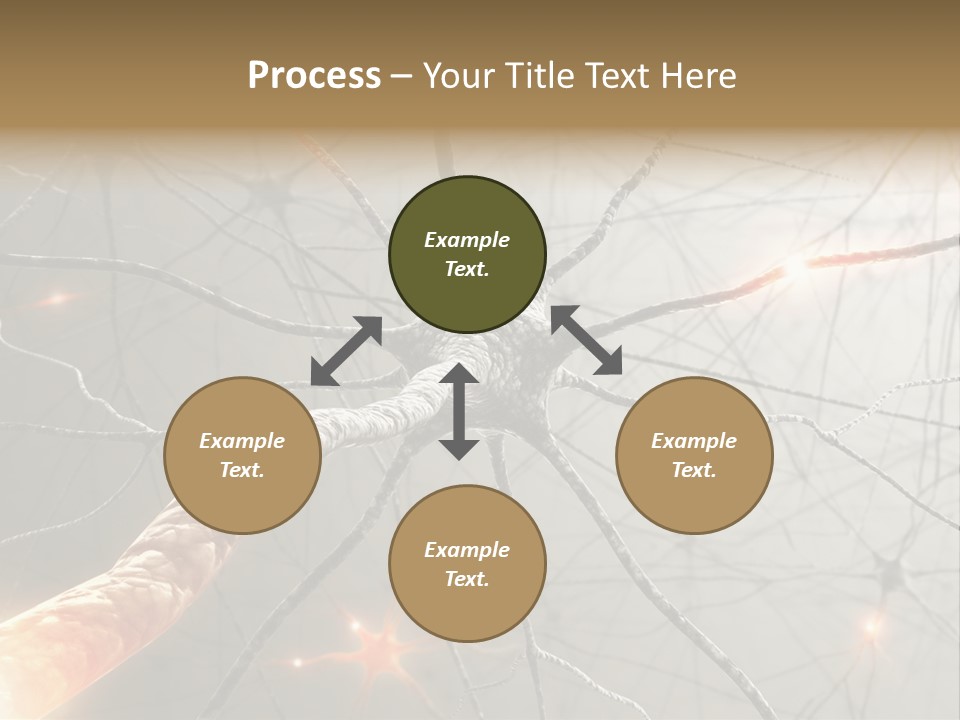 Inside The Brain. Concept Of Neurons And Nervous System. PowerPoint Template