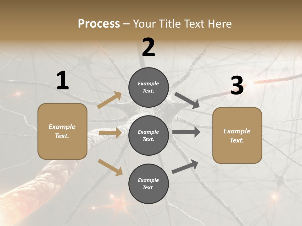 Inside The Brain. Concept Of Neurons And Nervous System. PowerPoint Template