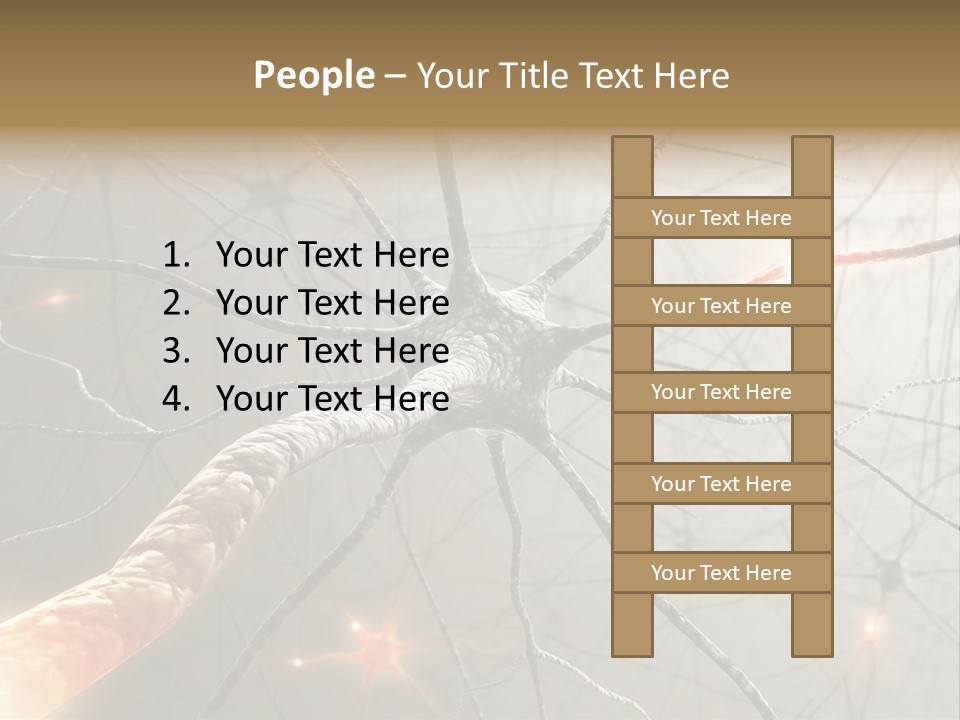 Inside The Brain. Concept Of Neurons And Nervous System. PowerPoint Template
