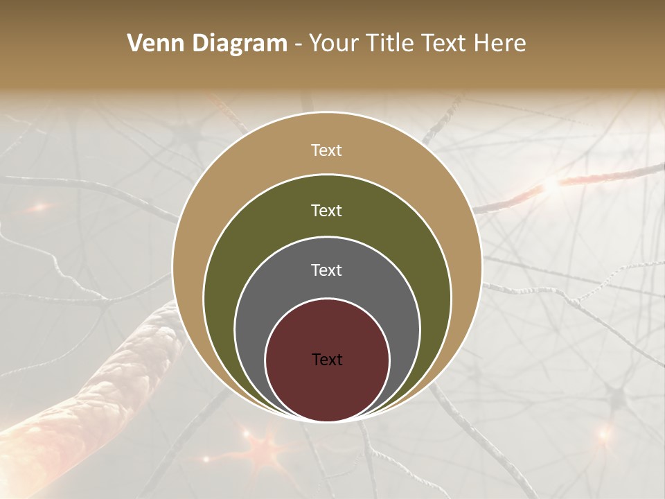 Inside The Brain. Concept Of Neurons And Nervous System. PowerPoint Template
