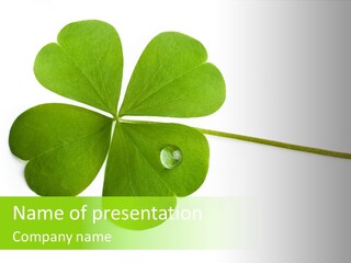 Shamrock PowerPoint Template