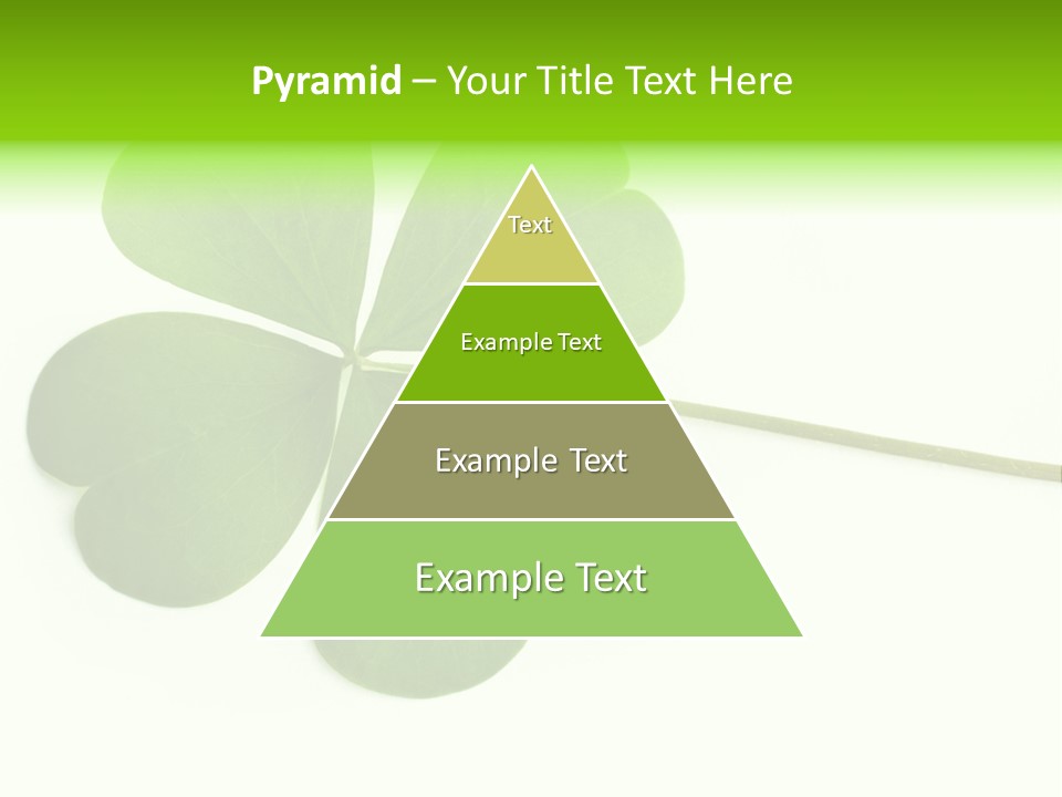 Shamrock PowerPoint Template
