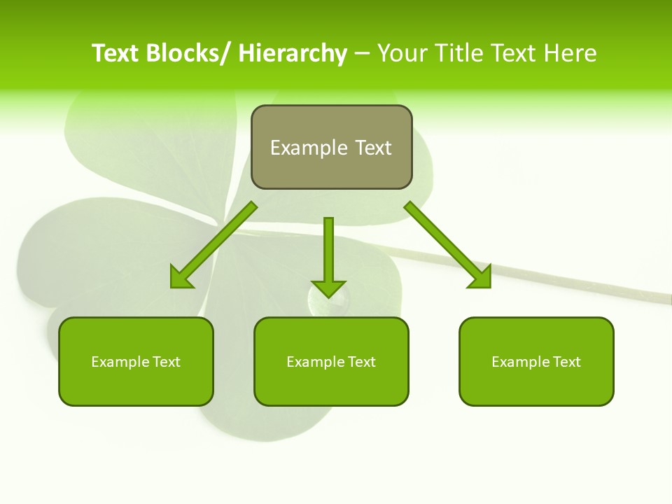 Shamrock PowerPoint Template