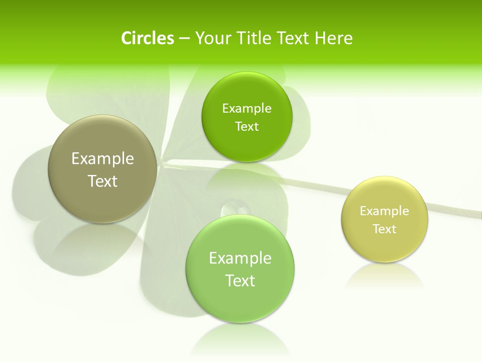 Shamrock PowerPoint Template