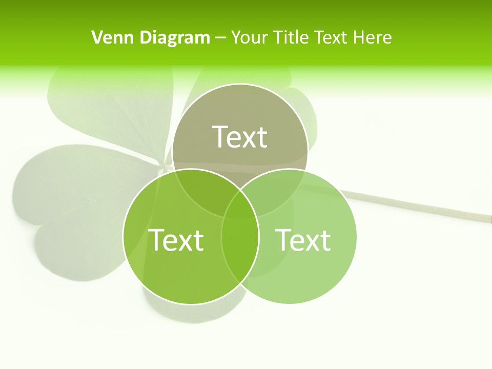 Shamrock PowerPoint Template