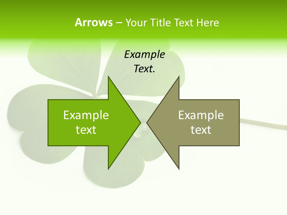 Shamrock PowerPoint Template