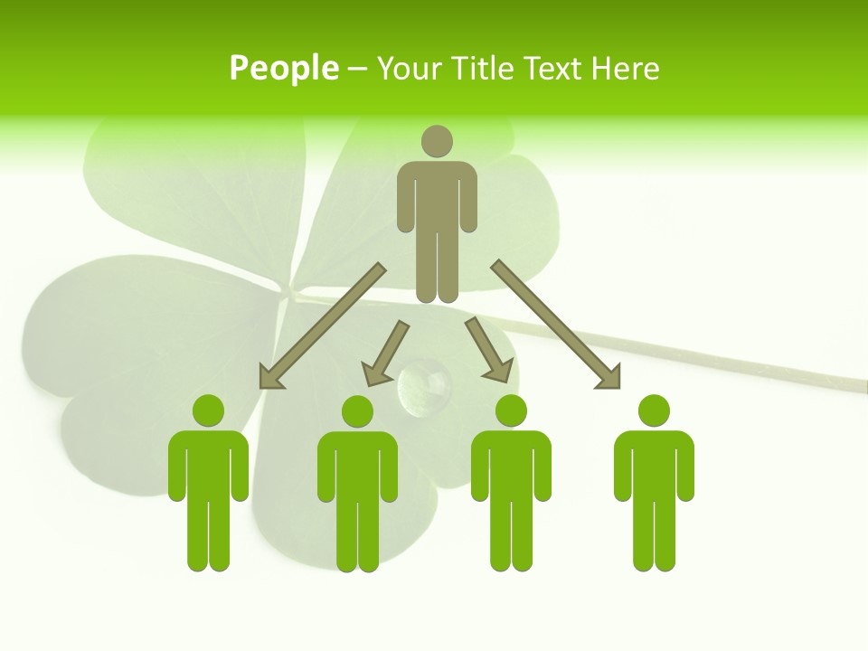 Shamrock PowerPoint Template