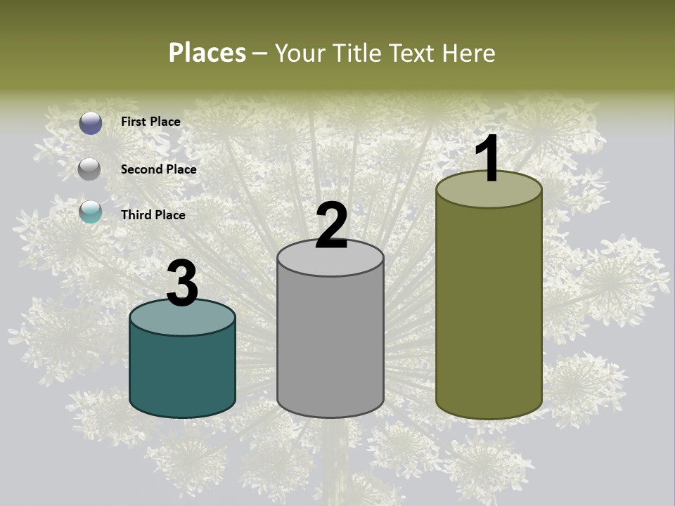 Heracleum PowerPoint Template