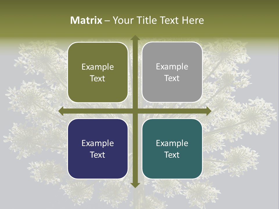 Heracleum PowerPoint Template