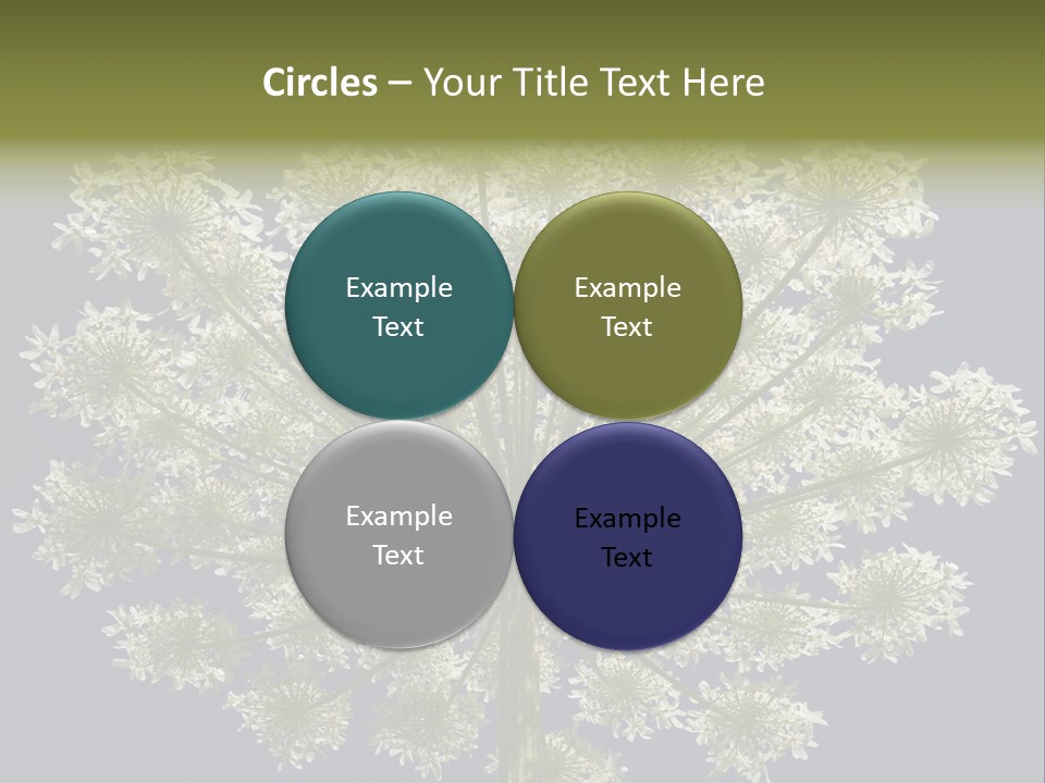 Heracleum PowerPoint Template