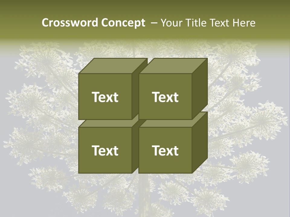 Heracleum PowerPoint Template