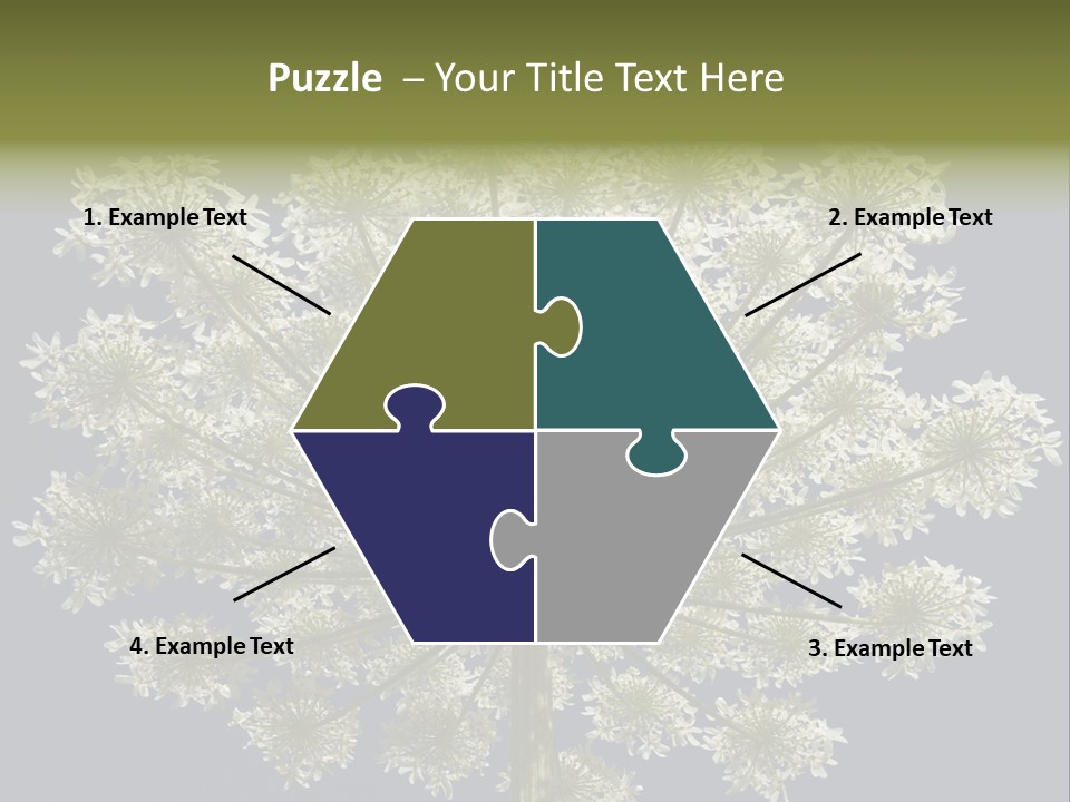 Heracleum PowerPoint Template