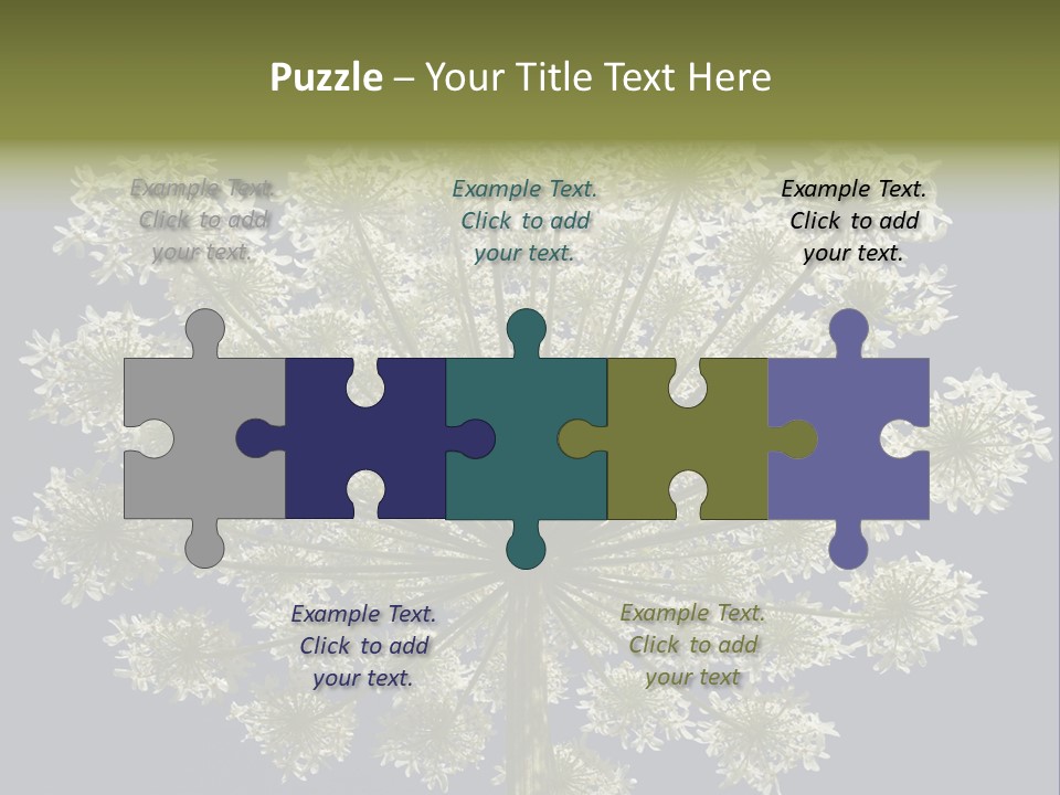 Heracleum PowerPoint Template