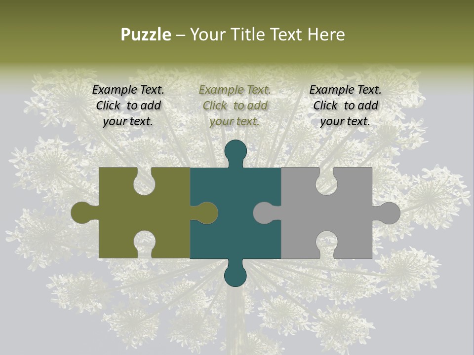 Heracleum PowerPoint Template