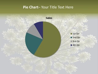 Heracleum PowerPoint Template