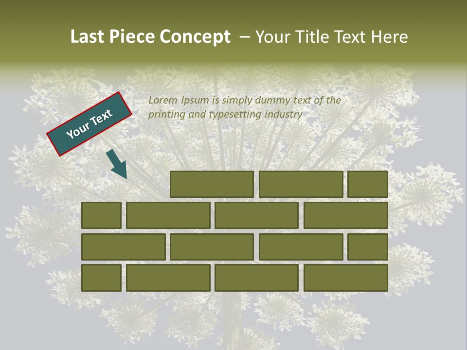 Heracleum PowerPoint Template