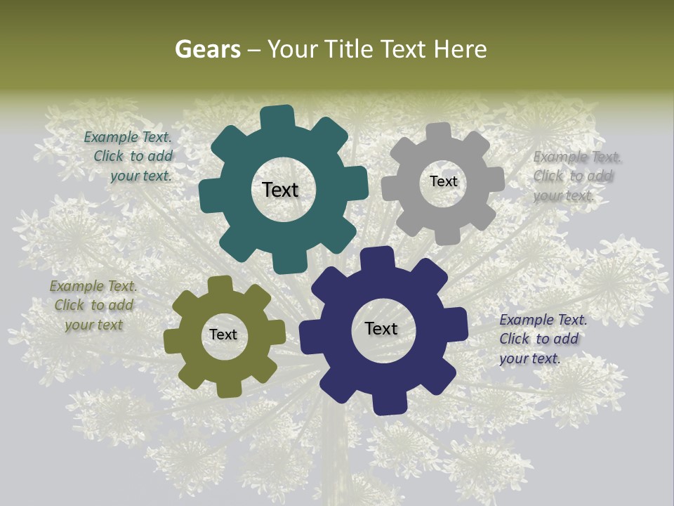 Heracleum PowerPoint Template