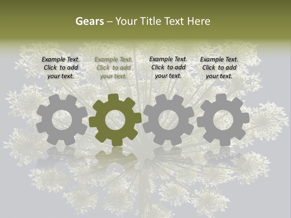 Heracleum PowerPoint Template