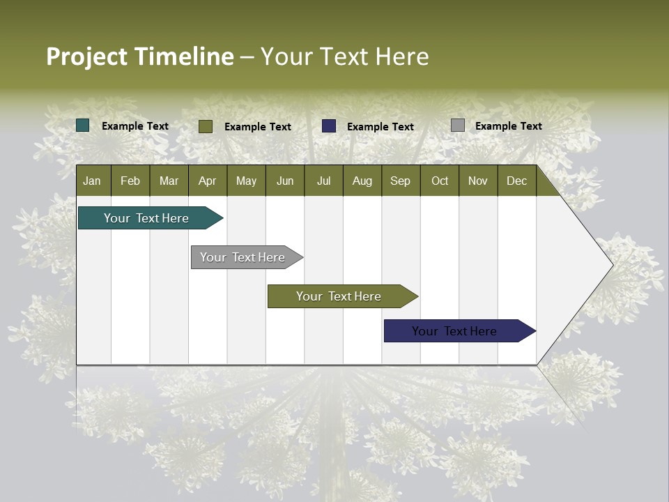 Heracleum PowerPoint Template
