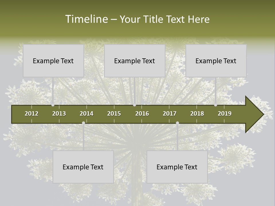 Heracleum PowerPoint Template