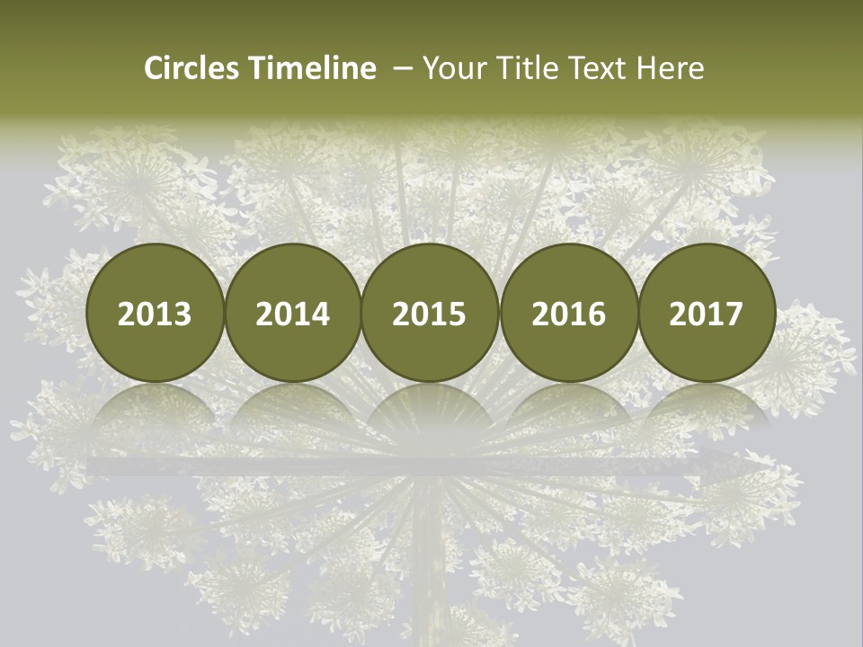 Heracleum PowerPoint Template