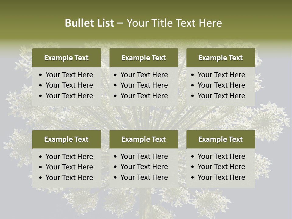 Heracleum PowerPoint Template