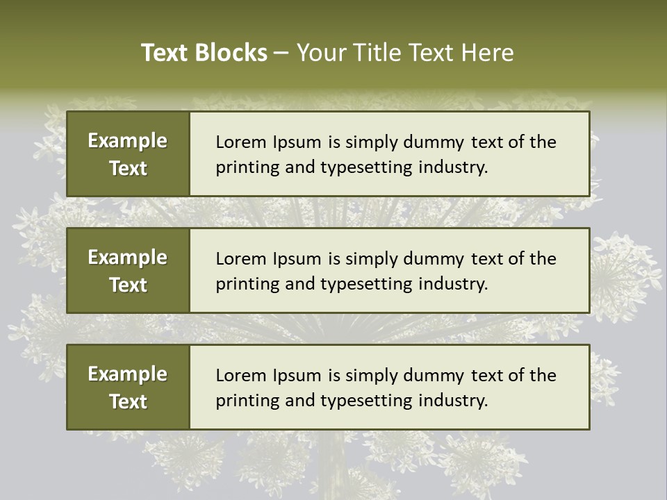 Heracleum PowerPoint Template