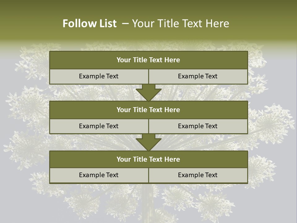 Heracleum PowerPoint Template