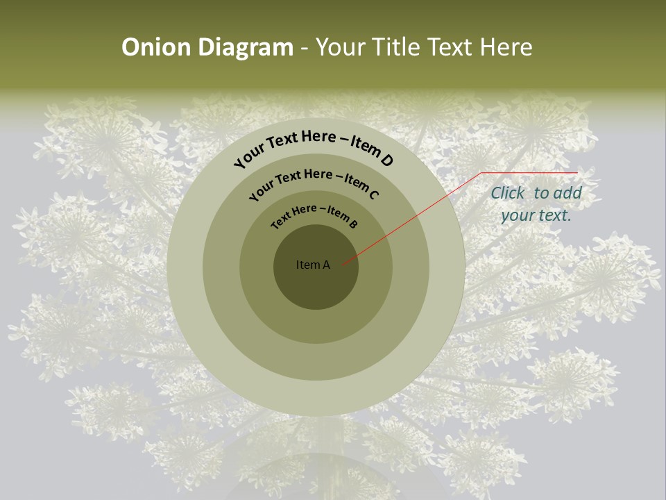 Heracleum PowerPoint Template