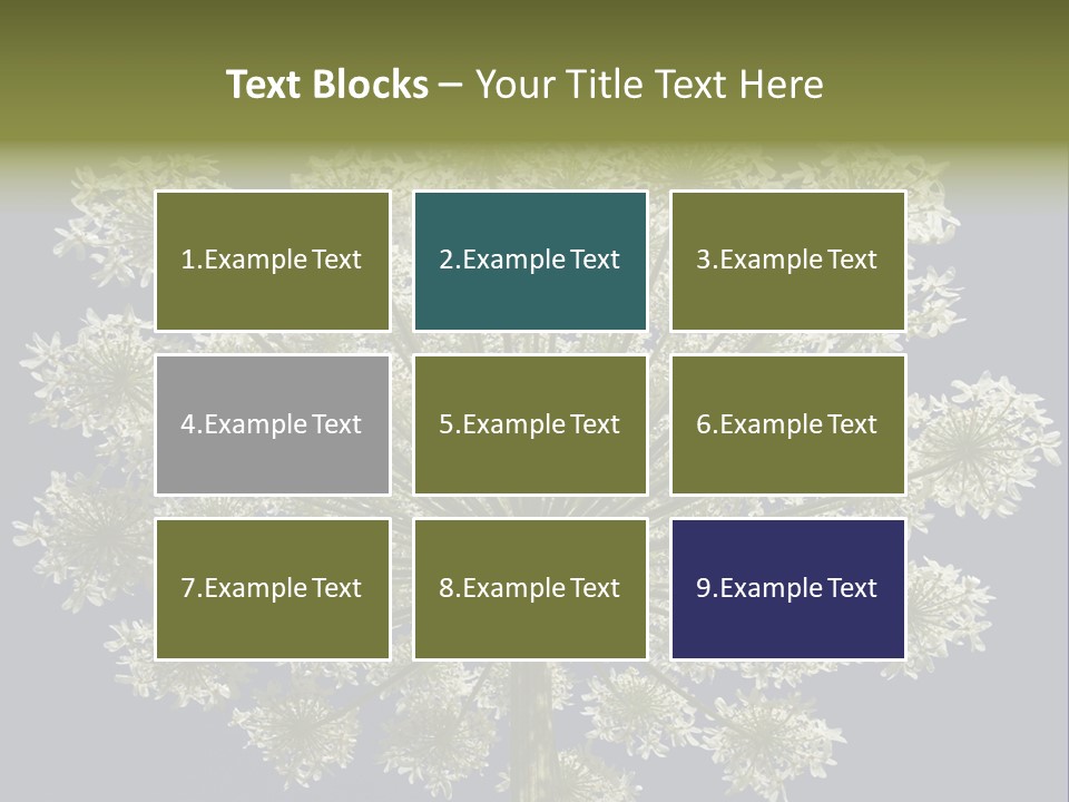 Heracleum PowerPoint Template
