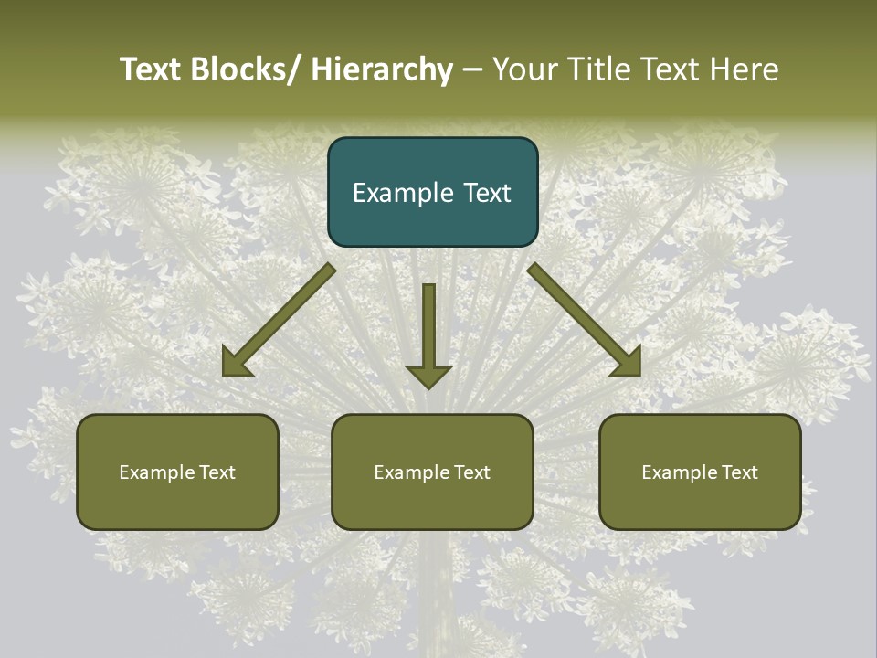 Heracleum PowerPoint Template