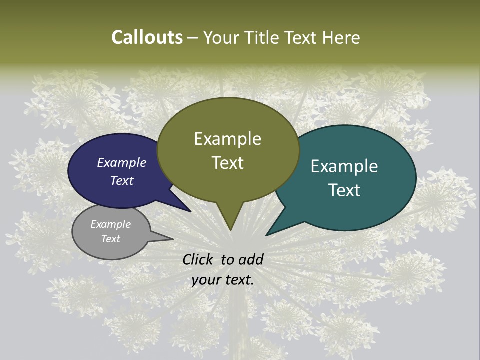 Heracleum PowerPoint Template