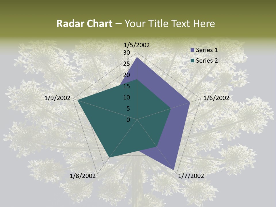 Heracleum PowerPoint Template