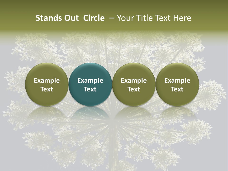 Heracleum PowerPoint Template