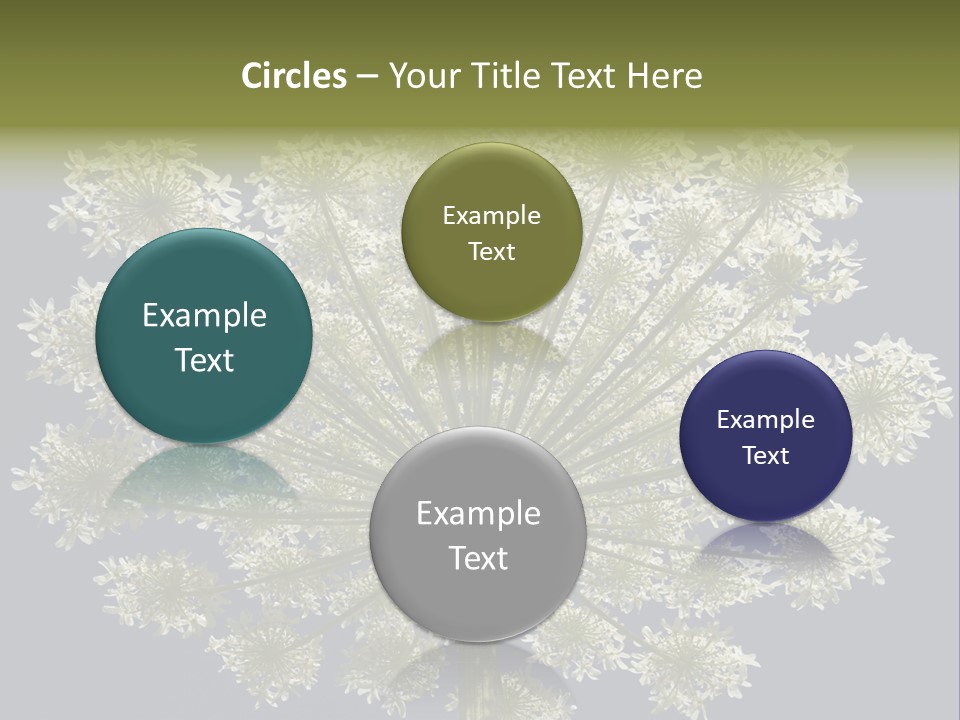Heracleum PowerPoint Template