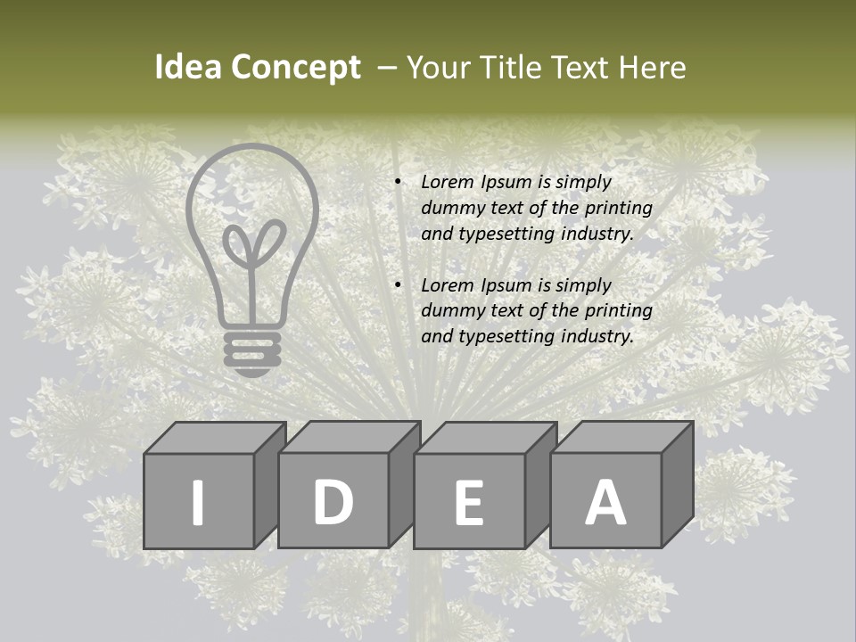 Heracleum PowerPoint Template