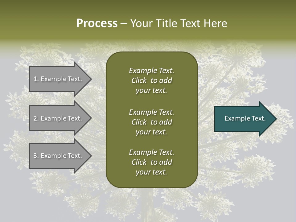 Heracleum PowerPoint Template