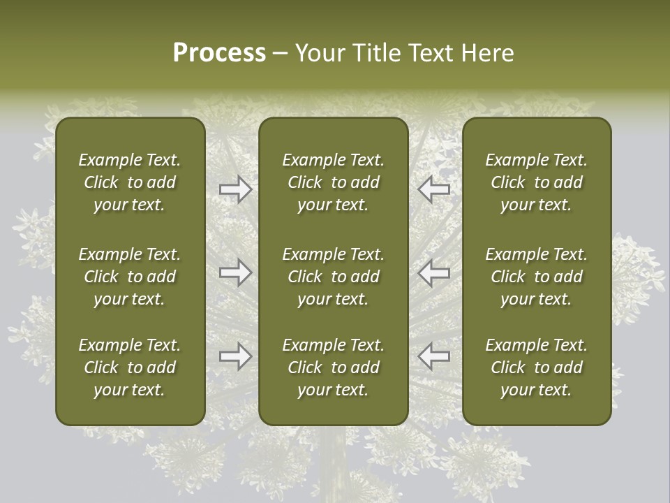 Heracleum PowerPoint Template