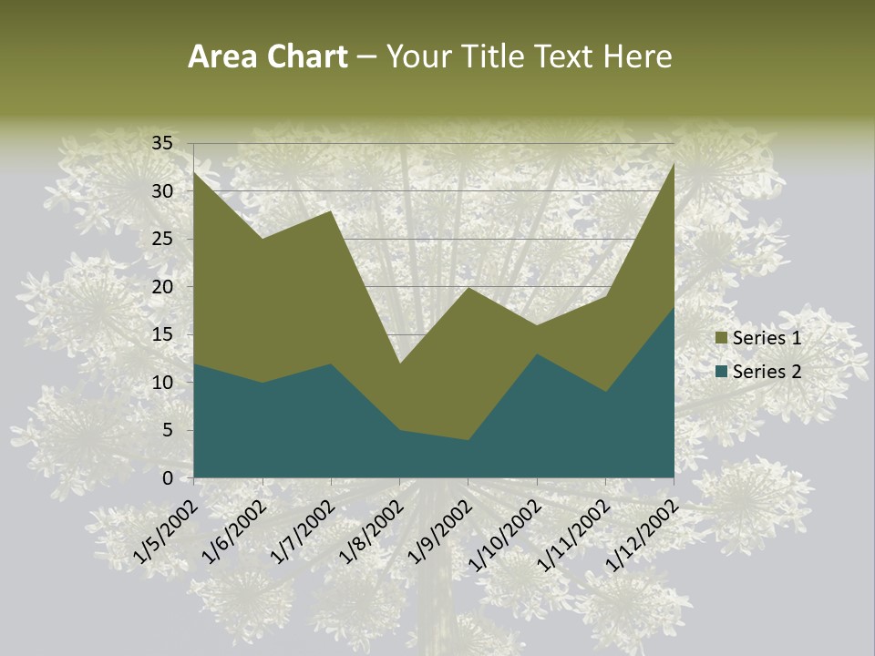 Heracleum PowerPoint Template