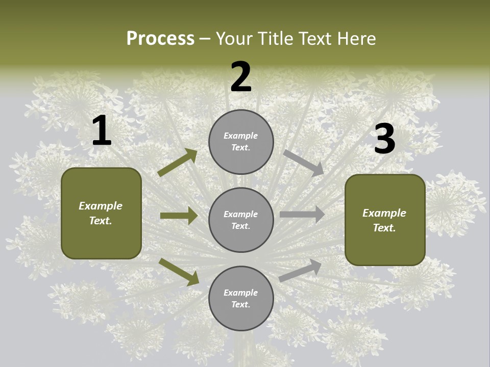 Heracleum PowerPoint Template