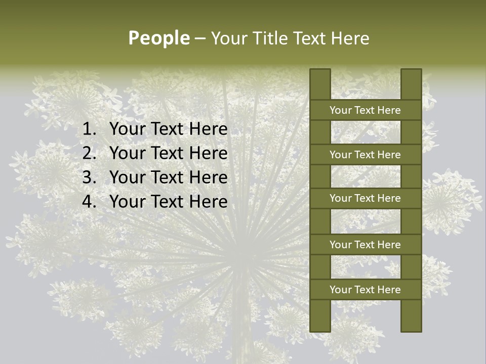Heracleum PowerPoint Template