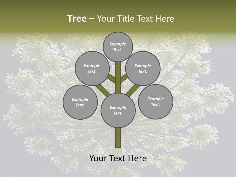 Heracleum PowerPoint Template